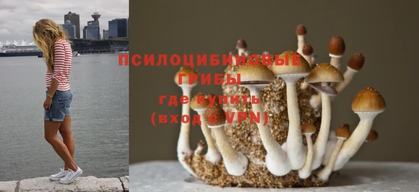 первитин Кинешма
