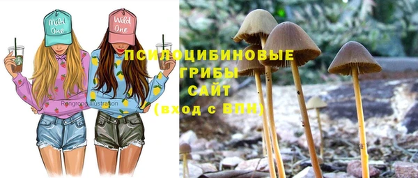 дурь Киреевск