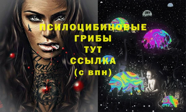 Альфа ПВП Касимов