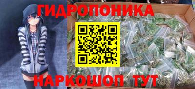 a pvp Дубна