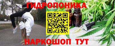 a pvp Дубна