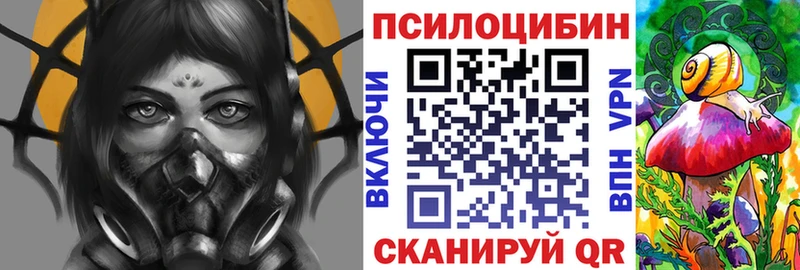 Галлюциногенные грибы Psilocybine cubensis  Вязьма 