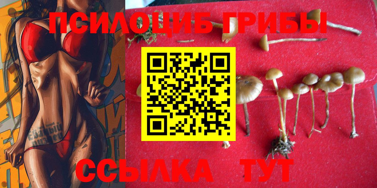 Галлюциногенные грибы MAGIC MUSHROOMS  Вход с VPN  Вязьма  Псилоцибиновые грибы Magic Shrooms 